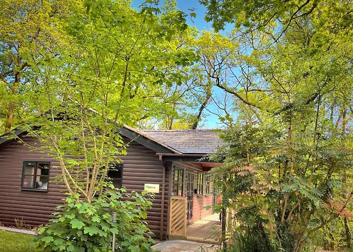 Shrew Lodge-Woodland Lodges-Hot Tub-Pembrokeshire-Tenby