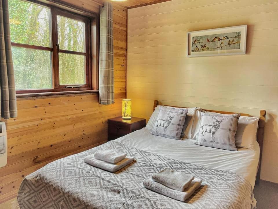 Shrew Lodge-woodland Lodges-hot Tub-pembrokeshire-tenby Chalet Carmarthen